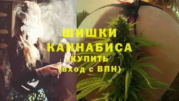 хмурый Осинники