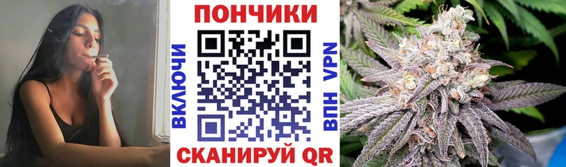 что такое наркотик  Бабаево  Каннабис сатива 